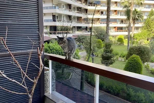 Riverside Resort Sitesi - Apartman Kompleksi - Antalya Alanya