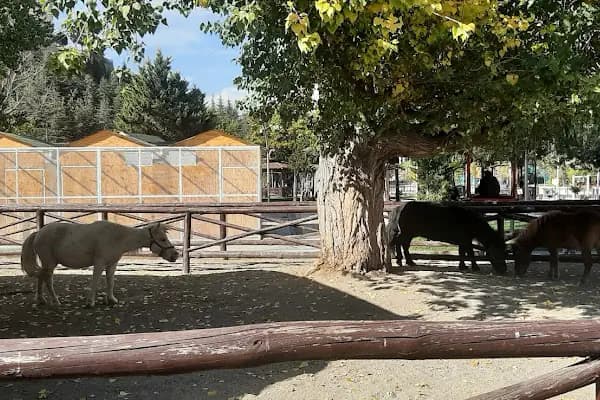 Ceylanlar Parkı - Hayvanat Bahçesi - Ankara Keçiören