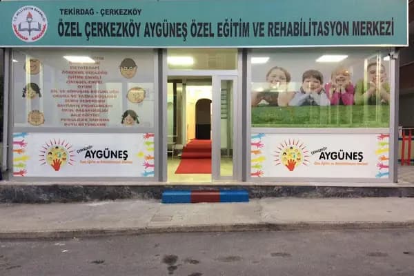 Özel Çerkezköy Aygüneş Özel Eğitim Ve Rehabilitasyon Merkezi - Rehabilitasyon Merkezi - Tekirdağ Çerkezköy