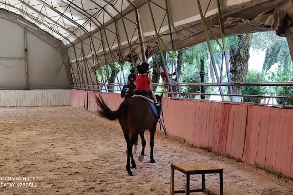 İzmir Atlı Spor ve İhtisas Kulübü - At Binme Hizmeti - İzmir Bornova