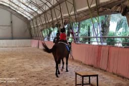 İzmir Atlı Spor ve İhtisas Kulübü