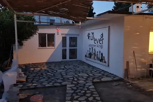 Fur + ever Veteriner Acil 7/24 Bodrum(Turgutreis)Köpek Kedi Evcil Hayvan Doktoru - Veteriner - Muğla Bodrum