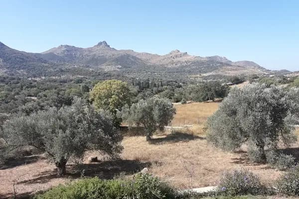 Akçaalan - Administrative Area4 - Muğla Bodrum