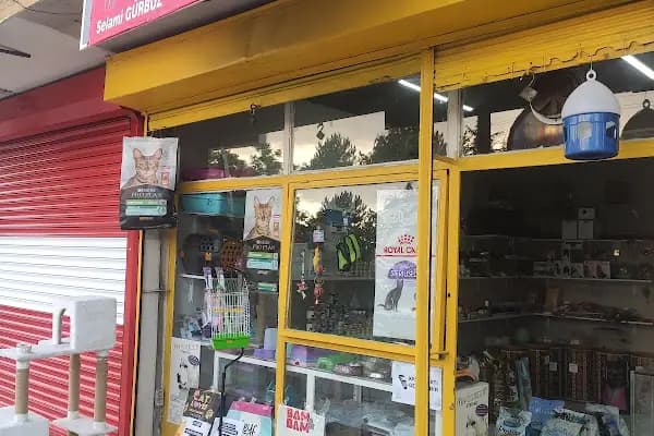 GÜRBÜZ PETSHOP - Evcil hayvan mağazası - Ankara Keçiören