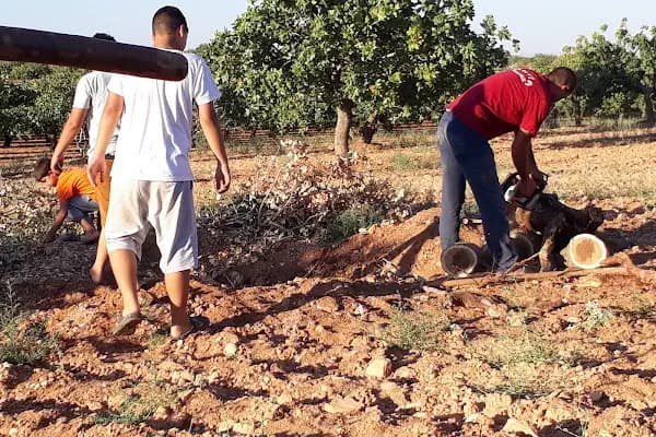 Bozfırat Bağ Evi - Üzüm Bağı - Gaziantep Nizip
