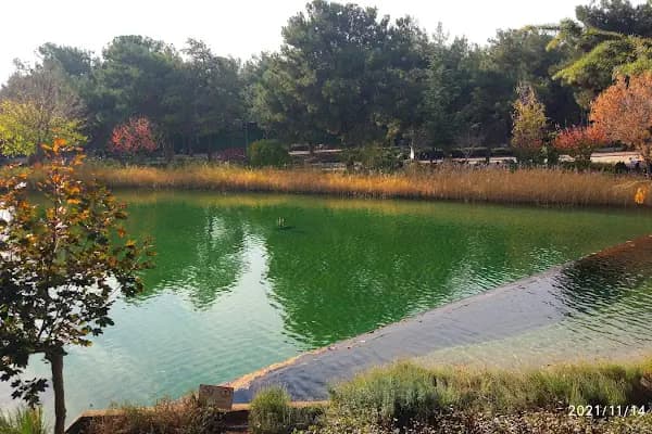 Dülükbaba Biyolojik Göleti - Park - Gaziantep Şehitkamil