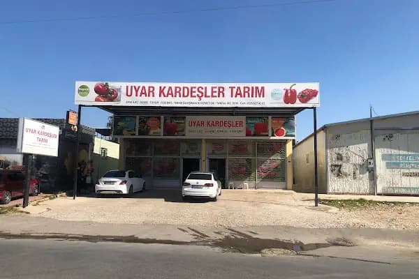 Uyar Kardeşler Tarım - Tohum Tedarikçisi - Antalya Döşemealtı