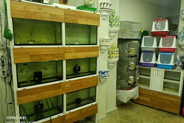 Sivas Petshop - Evcil hayvan mağazası - Sivas Sivas Belediyesi
