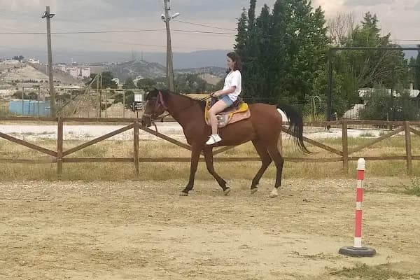 Denizli Atlı Spor Kulübü - Kır Düğün Salonu - Serpme Kahvaltı - At Çiftliği - Binicilik - Etkinlik Mekânı - Denizli Tavas