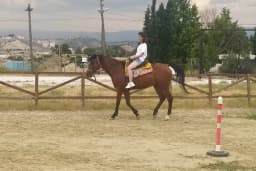 Denizli Atlı Spor Kulübü - Kır Düğün Salonu - Serpme Kahvaltı - At Çiftliği - Binicilik