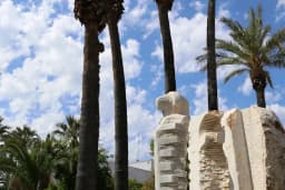 GÜNEŞ ÇİÇEK EVİ &amp; ORGANİZASYON - MUĞLA/BODRUM