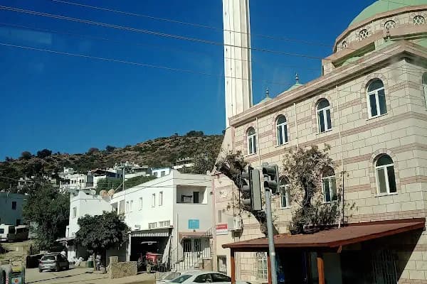 İslamhaneleri Köyü Cami - Cami - Muğla Milas