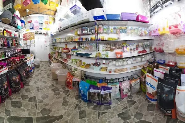 Alaşehir Çağdaş Petshop - Evcil hayvan mağazası - Manisa Yunusemre