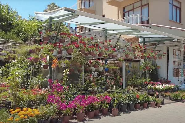 Çiğdem Çiçekçilik - Çiçekçi - Antalya Alanya