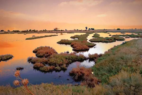 Mavişehir Sasalı Bisiklet Parkuru - Bisiklet Parkı - İzmir Bergama