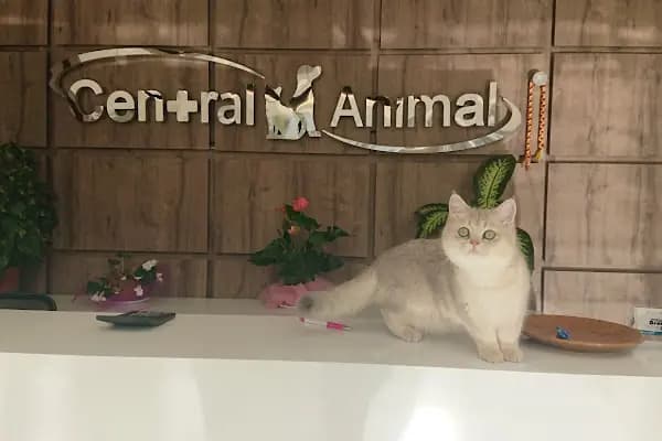 Central Animal Bornova Veteriner Polikliniği - Veteriner - İzmir Bergama