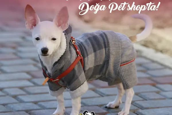Sakarya Doğa Petshop 5 Serdivan - Evcil hayvan mağazası - Sakarya Serdivan