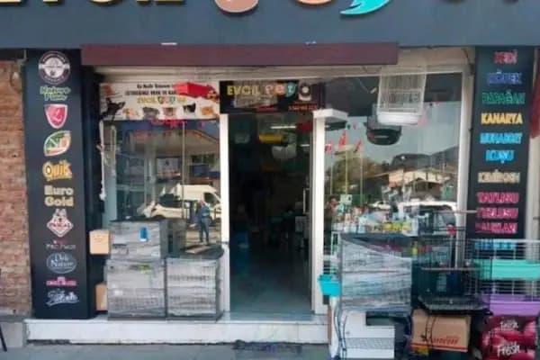 Evcil Pet 54 - Evcil hayvan mağazası - Sakarya Adapazarı