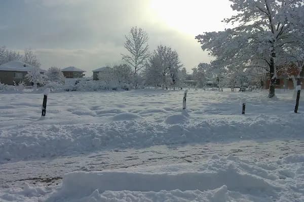 İslahiye Köyü Muhtarlığı - Resmi Kurum - Düzce Akçakoca