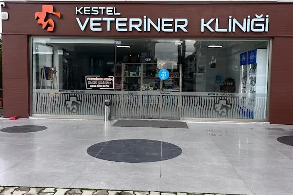 Kestel Veteriner Kliniği - Veteriner - Antalya Finike