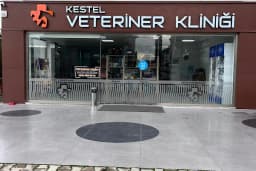 Kestel Veteriner Kliniği
