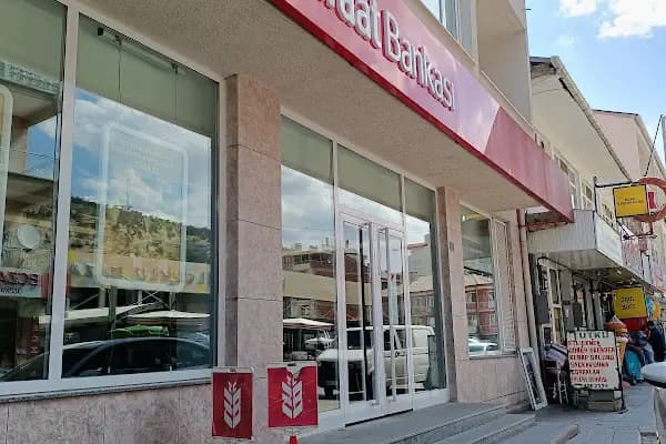 Ziraat Bankası Bozkır/Konya Şubesi - Banka - Konya Bozkır