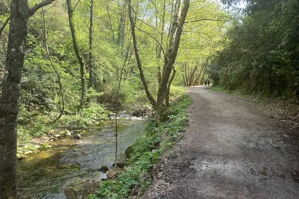 Kocaeli Kent Ormanı - Milli Park - Kocaeli İzmit