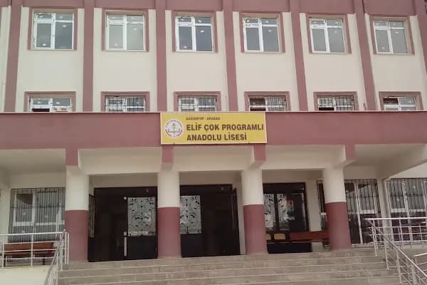 Araban Elif Çok Programlı Lisesi - Okul - Gaziantep Araban