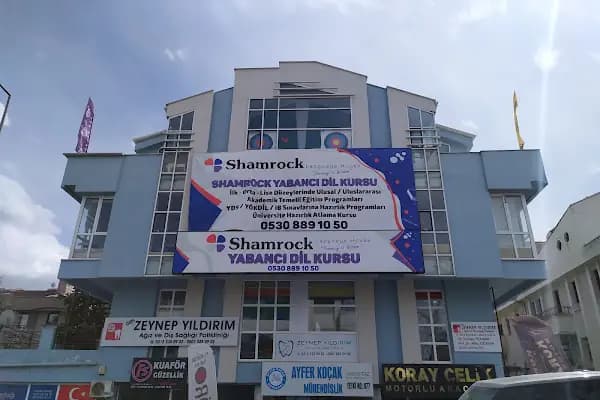Shamrock Language House - Eğitim Merkezi - Ankara Altındağ