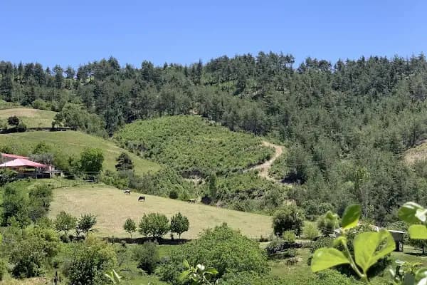 Yağızlar Göleti - Gölet - Adana Çukurova