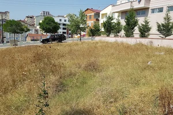 Hayme Ana Parkı - Park - Kocaeli Dilovası