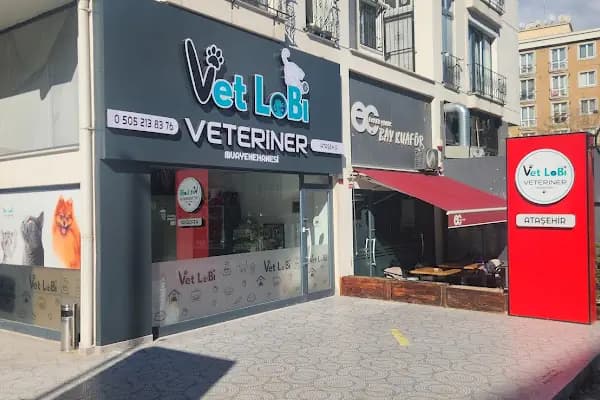 ATAŞEHİR 7/24 ACİL VETERİNER VET LOBİ VETERİNER KLİNİĞİ - Veteriner - İstanbul Ataşehir
