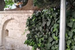 Çınarlı Kahve