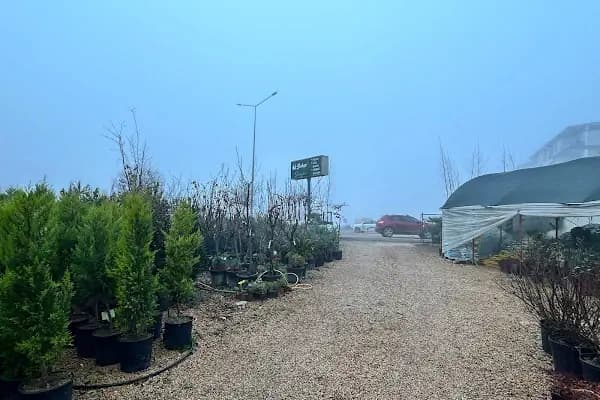 4K BAHÇE DÜNYASI - Fidanlık - Antalya Finike