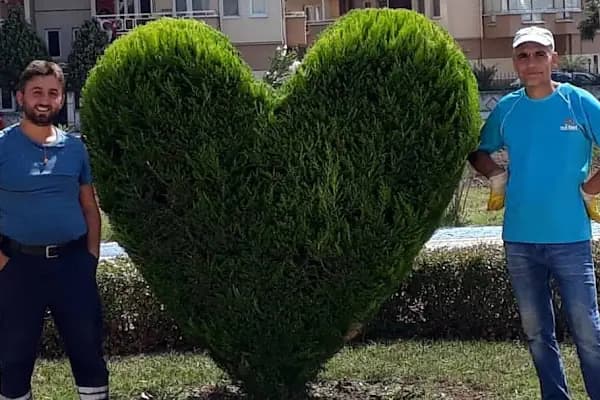 Bursa Peyzaj Ağaç Kesim Bahçe Düzenleme Budama Çim Dikimi Profesyonel Dizayn - Peyzaj Tasarımcısı - Bursa Gürsu