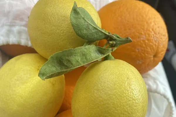 Portakal Durağı - Meyve Sebze Satış Yeri - Antalya Döşemealtı