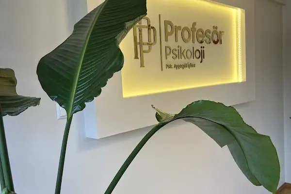 PROFESÖR DANIŞMANLIK - Psikolog Ayşegül İşitez - Psikolog - Sakarya Erenler