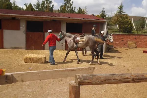 Safari At Çiftliği - Çiftlik - Ankara Akyurt