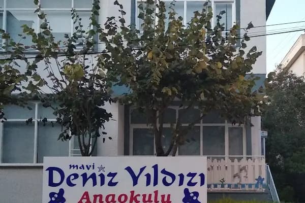 MAVİ DENİZ YILDIZI ANAOKULU - Anaokulu - Balıkesir Karesi