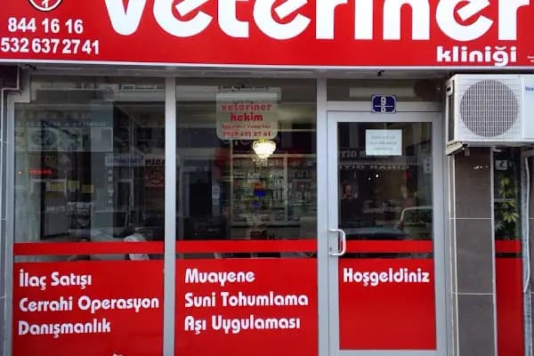 Başarı Veteriner Hizmetleri - Veteriner - Ankara Akyurt