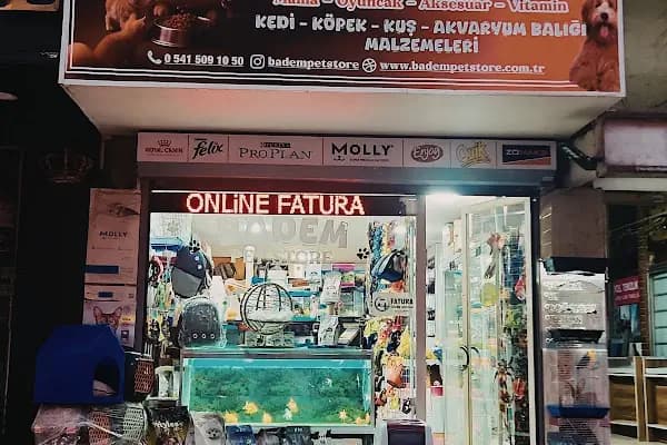 Badem PetShop - Evcil hayvan mağazası - Kocaeli İzmit
