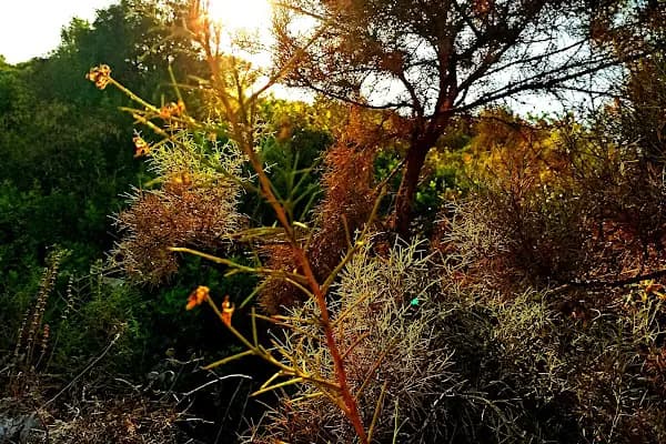 Çocuk Parkı - Park - Antalya Alanya