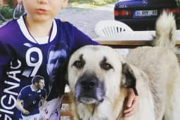 YALÇINKAYA OTO YIKAMA &amp; OTOPARK