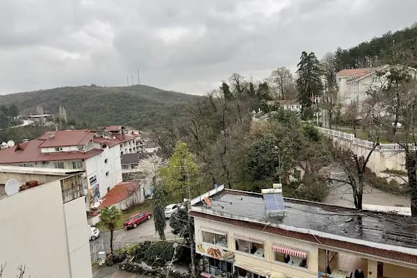 Diamond Hotel - Otel - Yalova Armutlu