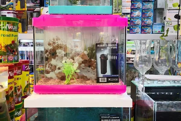 ADA AKVARYUM PET SHOP VE OUDOOR - Evcil hayvan mağazası - Sakarya Adapazarı