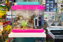 ADA AKVARYUM PET SHOP VE OUDOOR