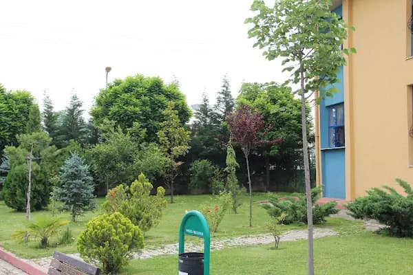 NENE HATUN MESLEKİ VE TEKNİK ANADOLU LİSESİ - Okul - Bursa Büyükorhan