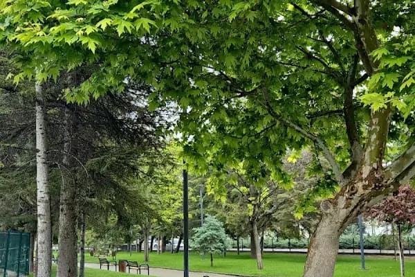 Ertuğrul Özer Parkı - Park - Ankara Beypazarı