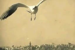 Helikopterci Mehmet siyam ARTAR
