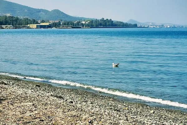 Kumsal Incir Alti Sahil :) - Park - İzmir Karabağlar